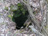 Old Well.webp Old Well.webp