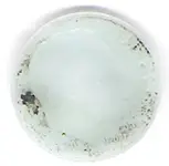 glue.webp