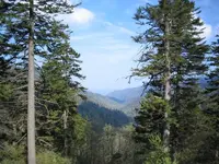 Looking West.webp