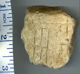 Rock.webp