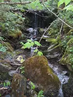 Mountain Stream.webp