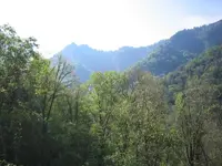 Chimney Tops.webp
