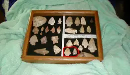 paleo.webp