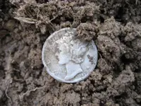 Nokta Fors CoRe 4 Silvers 003.webp
