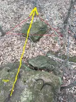 V ROCK (12) tree triangle.webp