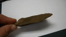DSCN1301.webp
