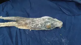 thumbnail_20170120_094820.webp