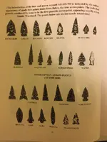 ImageUploadedByTreasureNet.com1487129424.922521.webp