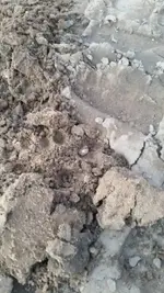 1486436260516.webp