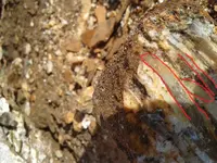 20170213_142545.webp