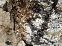 20170213_135702.webp