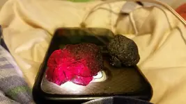 20170206_202215.webp 20170206_202215.webp