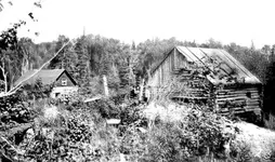 mine 1909 Ont.webp