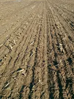 02_23_17 1.webp