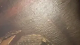 20170301_144947.webp