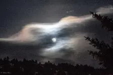 Moon_marked.webp