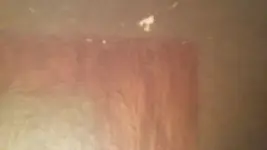 20170301_145013.webp