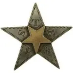 texas star.webp