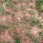 008 (1280x1280).webp