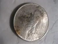 312017 Peace Dolllar Reverse.webp