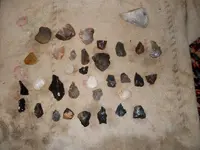 SDC12041.webp