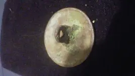 flower button back.webp