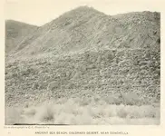 Mystic Pegleg Desert Photo.webp Mystic Pegleg Desert Photo.webp