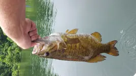 20160605_130200.webp