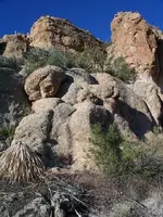 Picture_026 Yavapai anguish.webp