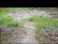Silver Dollar Area3.webp