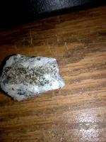 MagnifierGlass-2017-02-15 12_00_22Z.webp