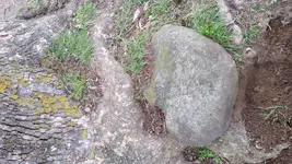 20170227_131518.webp