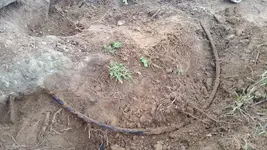 20170227_134534.webp