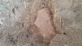 20170227_131120.webp