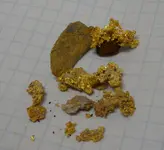 gold.webp gold.webp