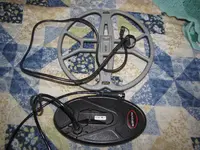 IMG_6266.webp