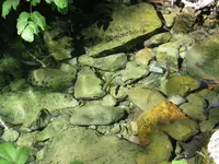 169_6931.webp