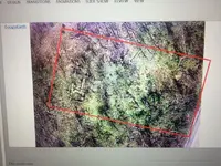 ImageUploadedByTreasureNet.com1486499967.176727.webp ImageUploadedByTreasureNet.com1486499967.176727.webp