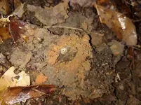 IMG_20170106_105652188.webp IMG_20170106_105652188.webp