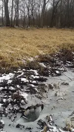 Whoops!-Winter-Hazard!.webp