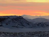 trip 030117 6.webp