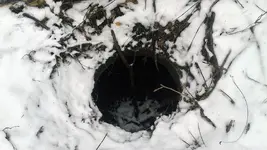 Hazard-Inside.webp