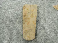 DSC09128.webp