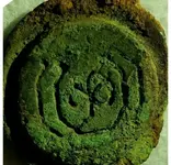 rosette lead.webp