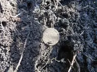1861 large cent 1 13 17 009.webp