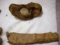 DSCN3256.webp