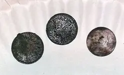 Toasted-Coins.webp