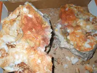 DSCN2120.webp