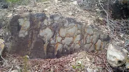 IMG_20161224_145319.webp