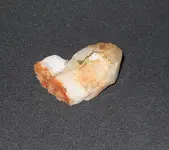 DSCN2128.webp
